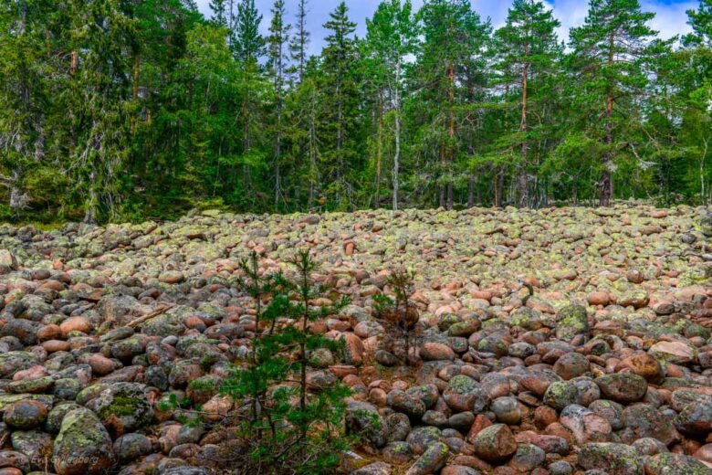 Pebble sauce in Skuleskogen