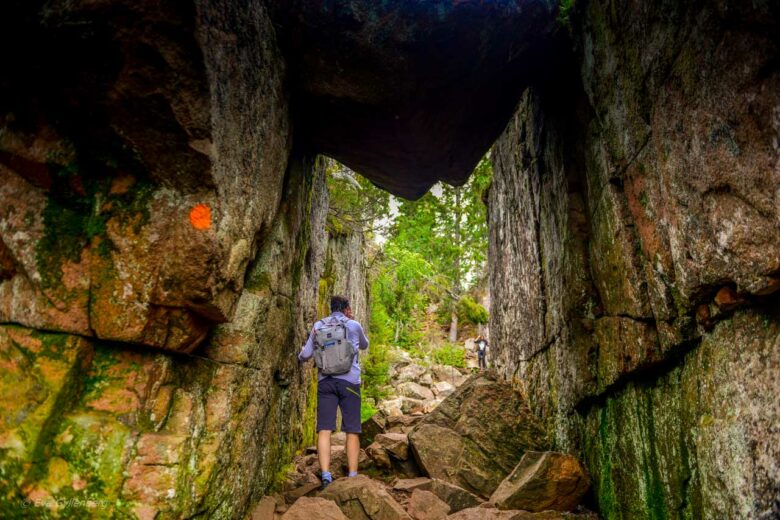 Under the cliff in Skuleskogen