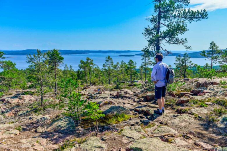 This view! Skuleskogen delivers!