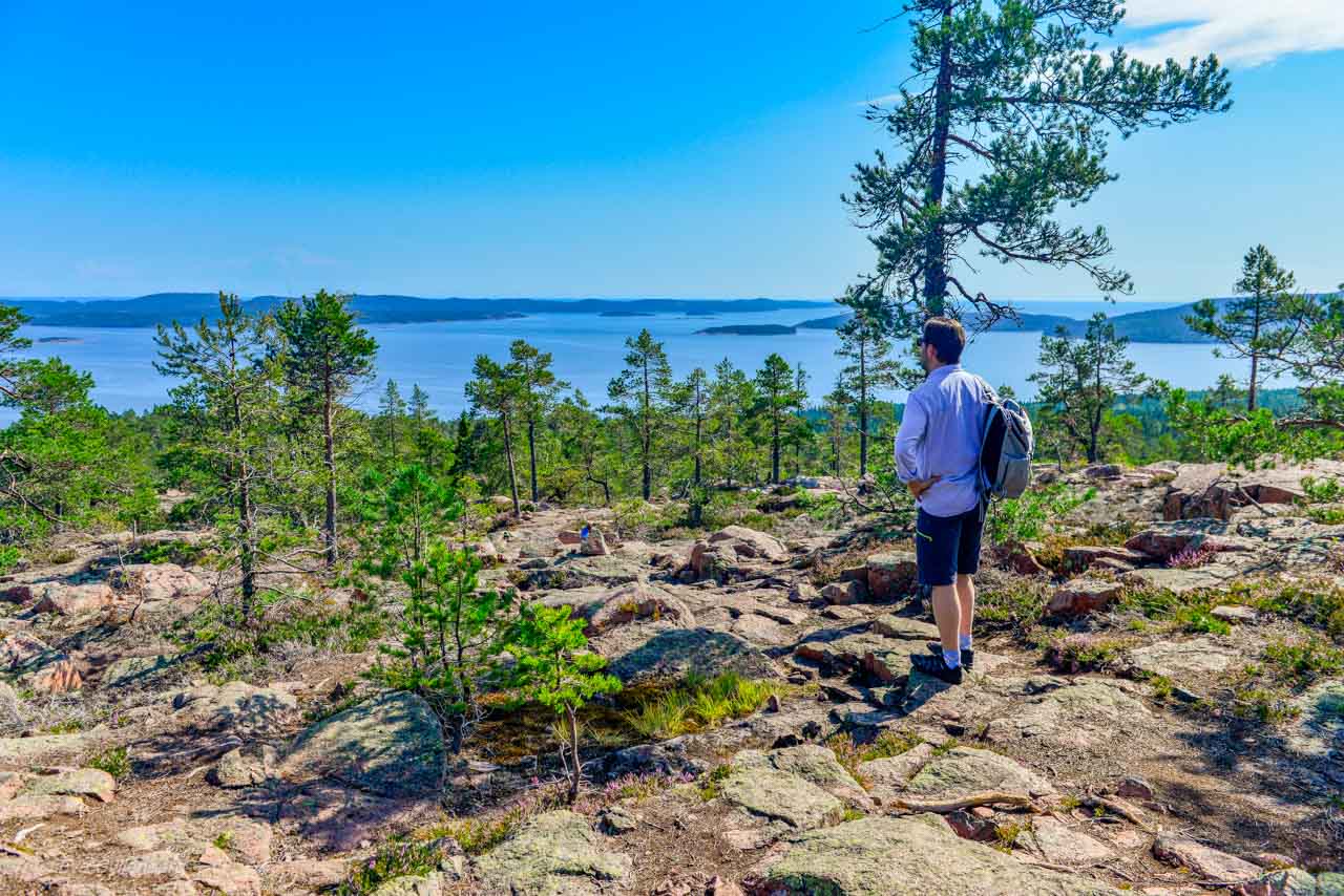 Denna utsikt! Skuleskogen levererar!