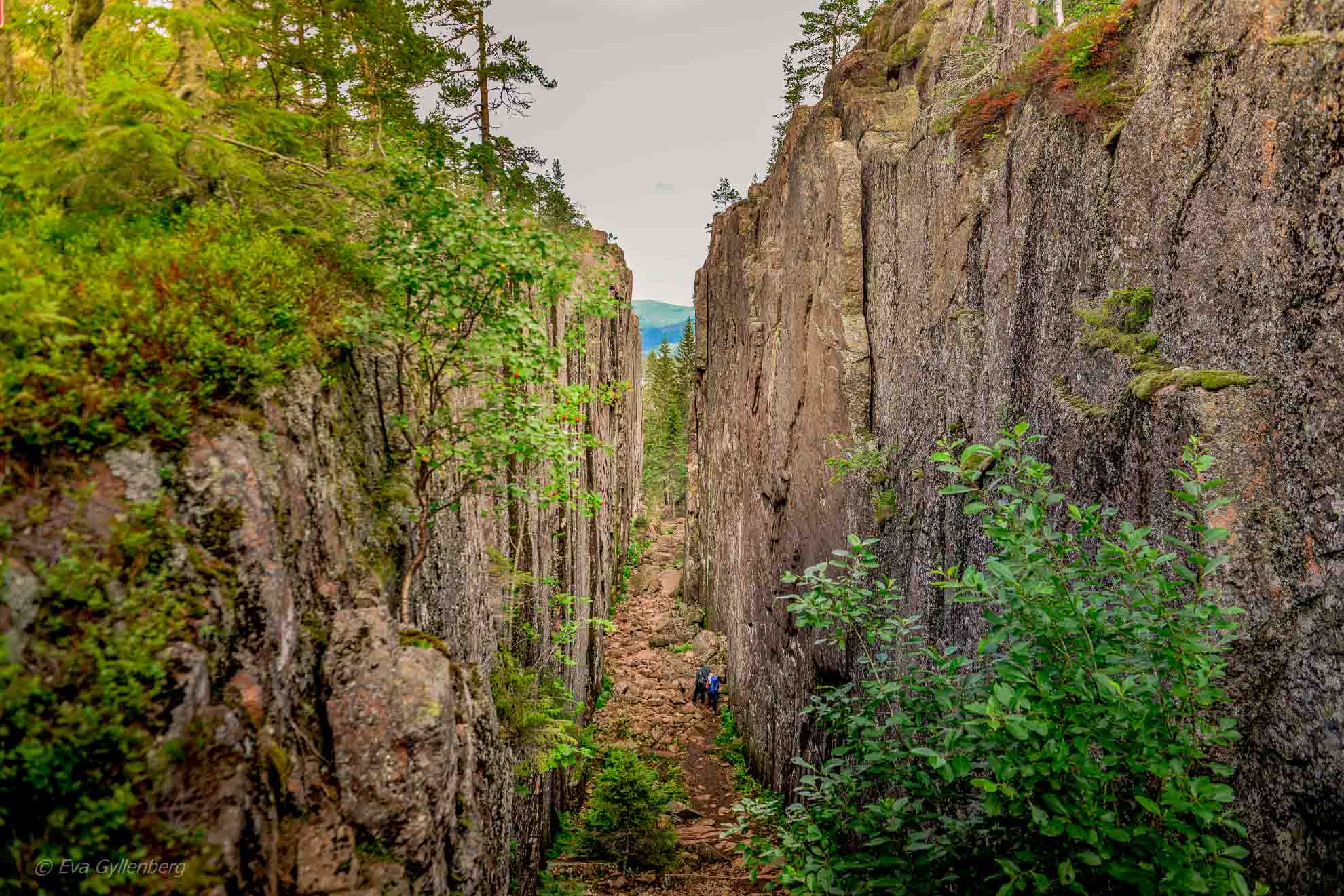 Skuleskogen