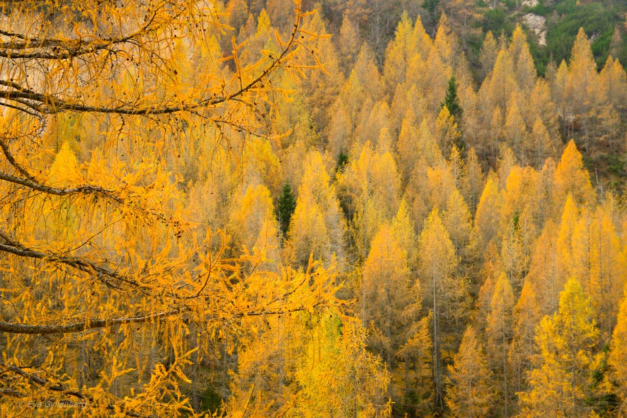 Vrsic Pass-Slovenien