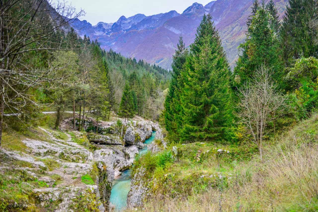 Vrsic Pass-Slovenia