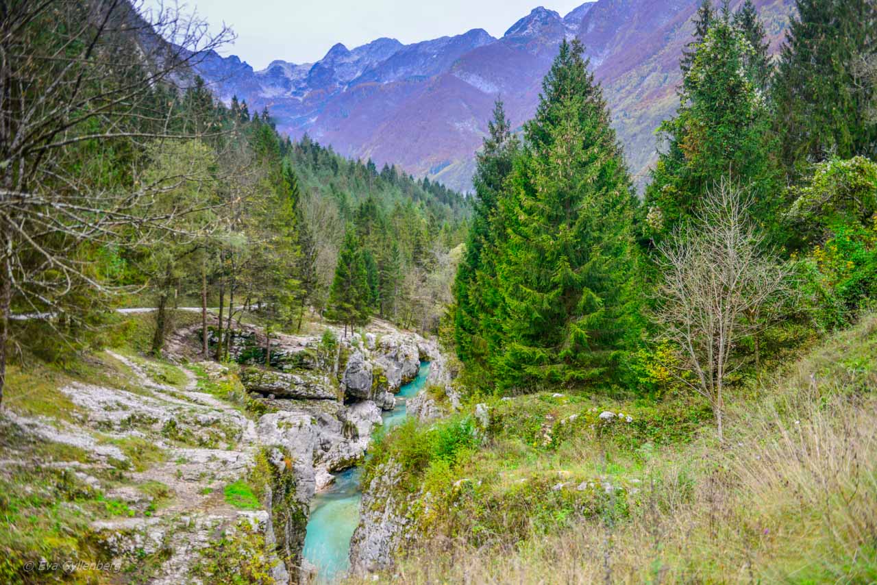 Vrsic Pass-Slovenien