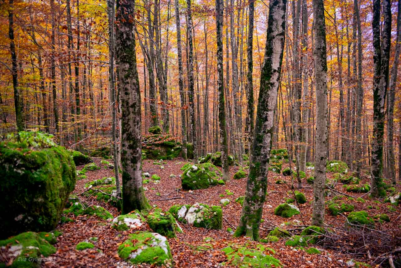 Vrsic Pass-Slovenien