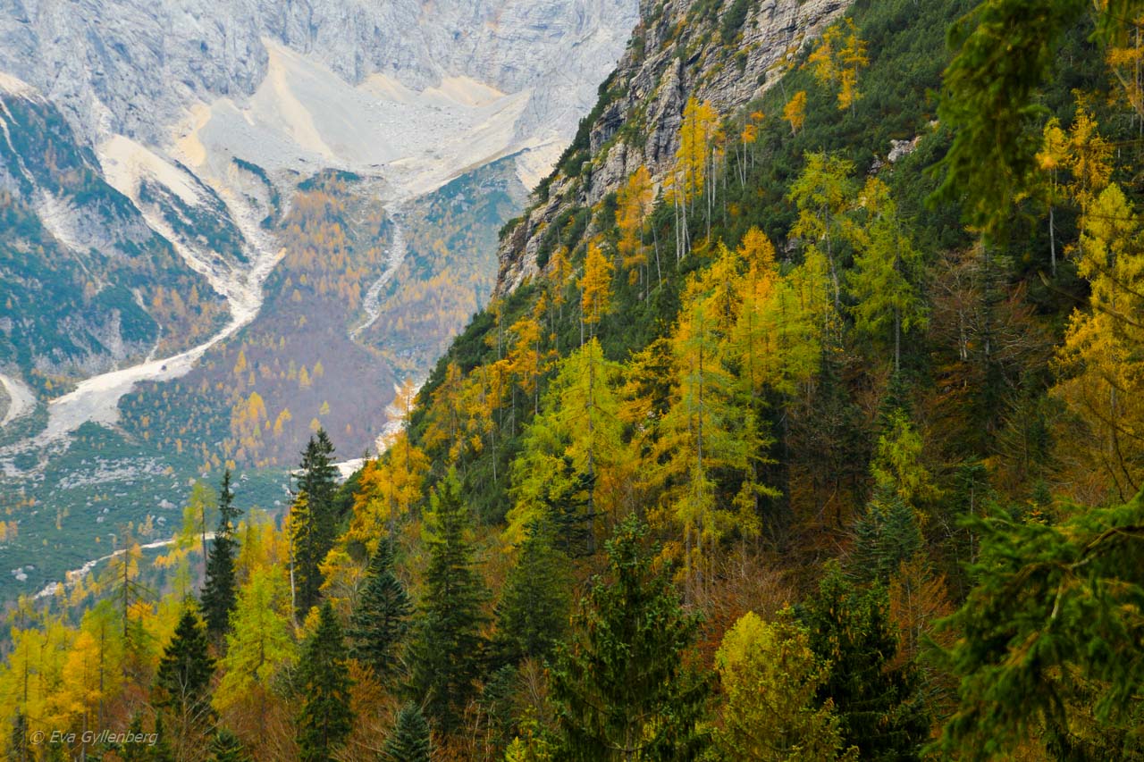 Vrsic Pass-Slovenien