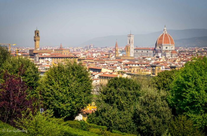 Florence - Italy