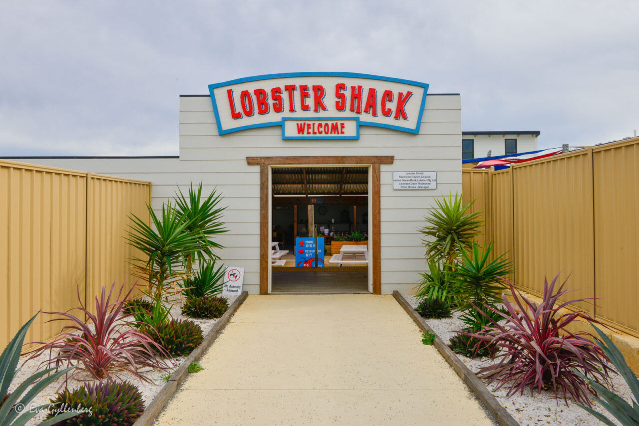 Lobster Shack - Cervantes