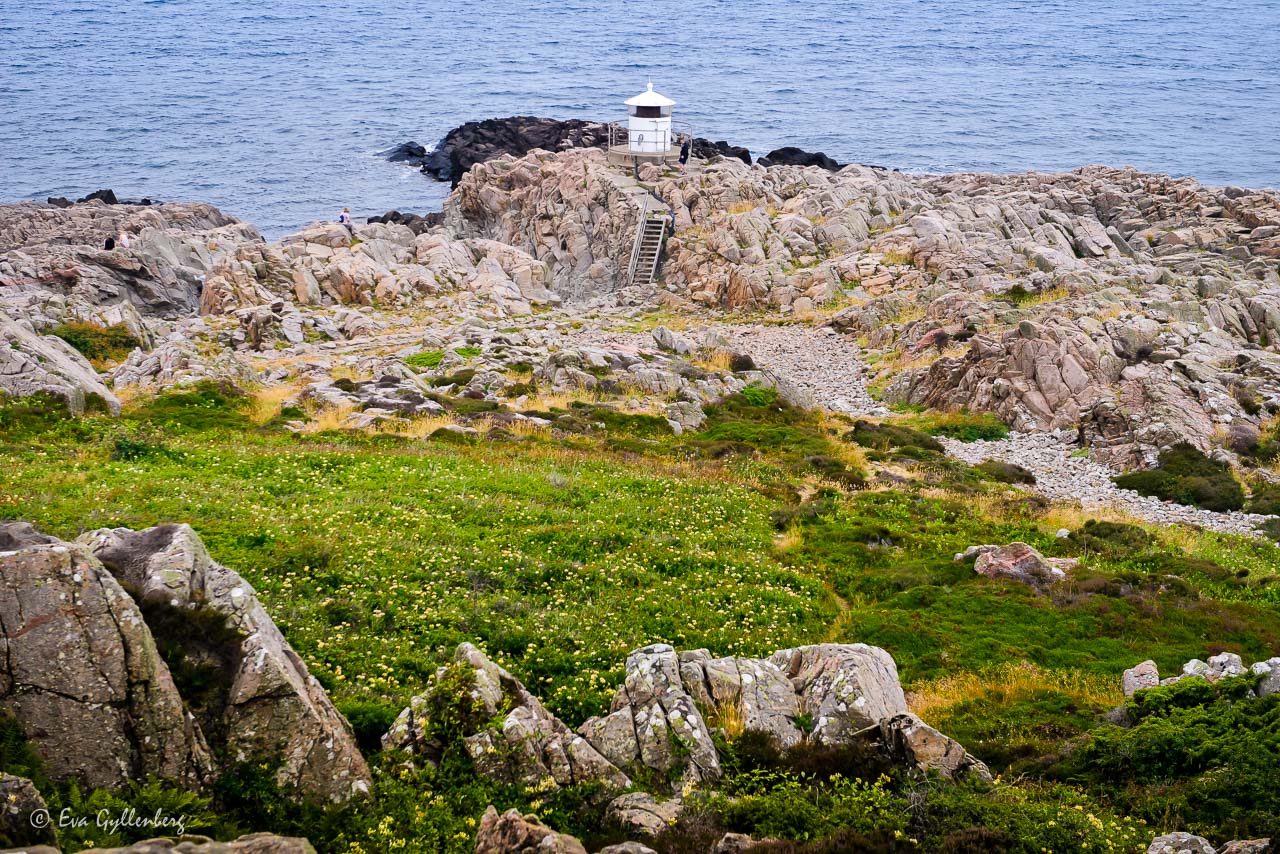 Fyr nedanför kullabergs klippor