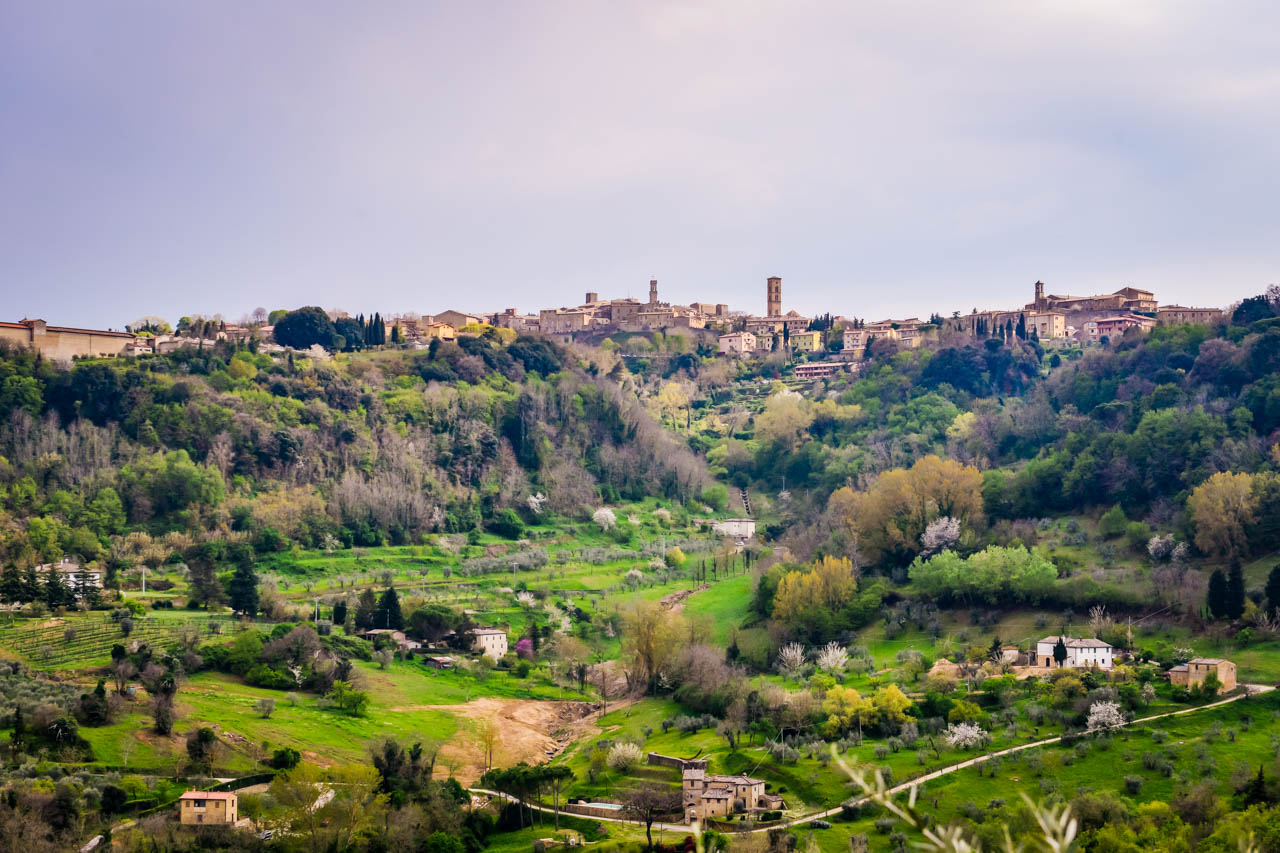 Volterra från distans