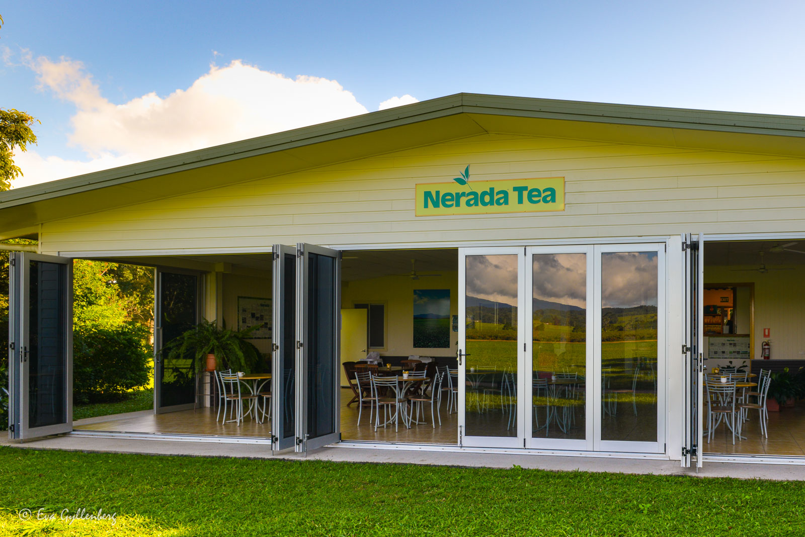 Nerada teplantage - Queensland