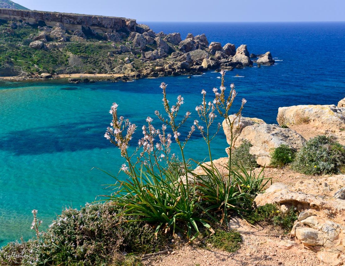 Malta
