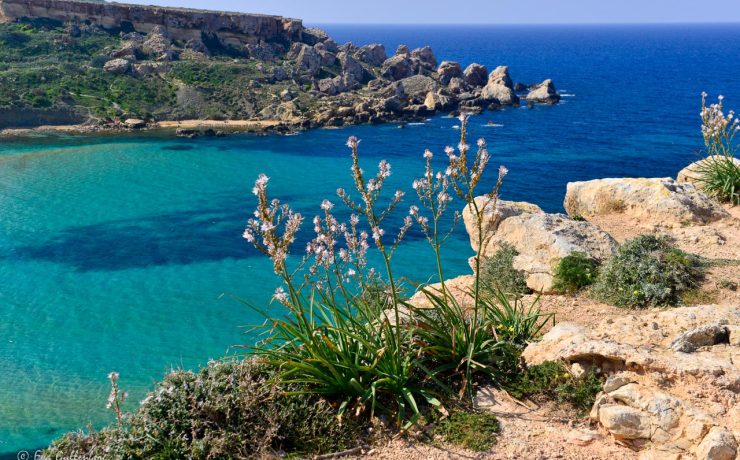 Malta