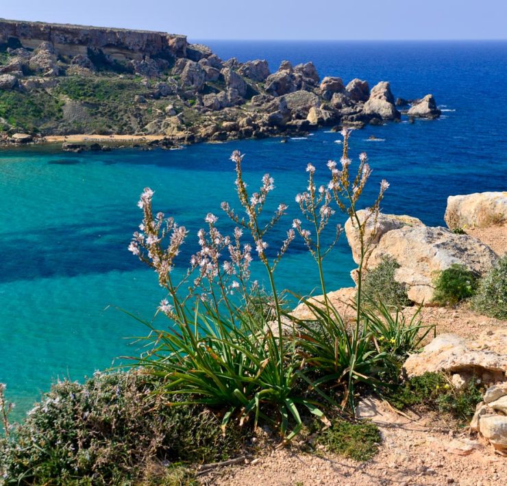 Malta
