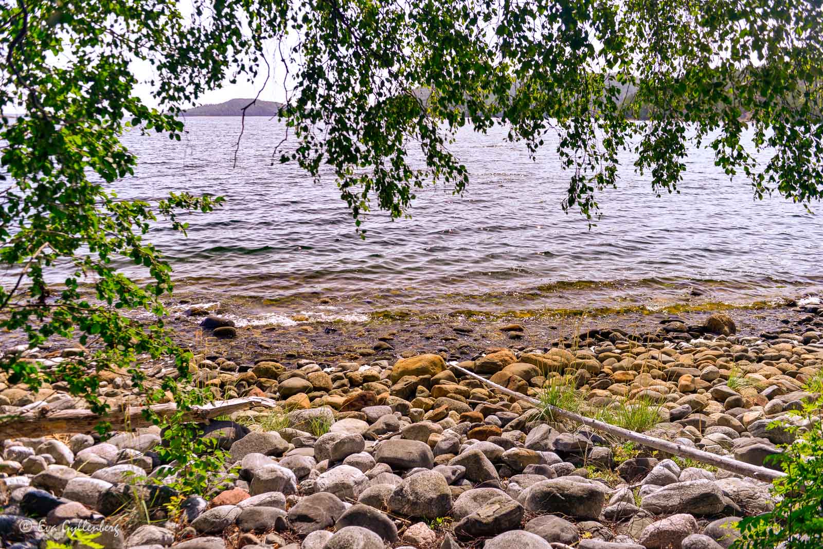 Stenig strand på Balesudden