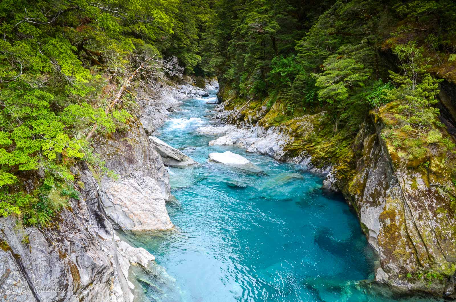 Blue pools i Mount Aspiring