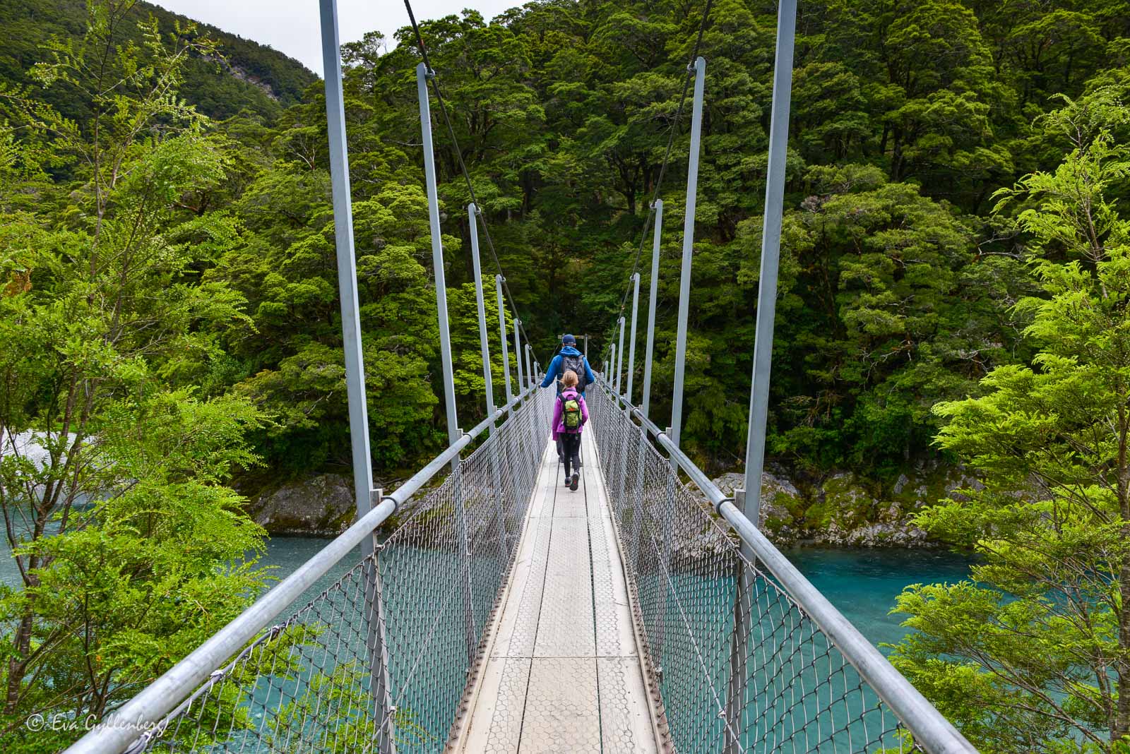 Hängbro i Mount Aspiring
