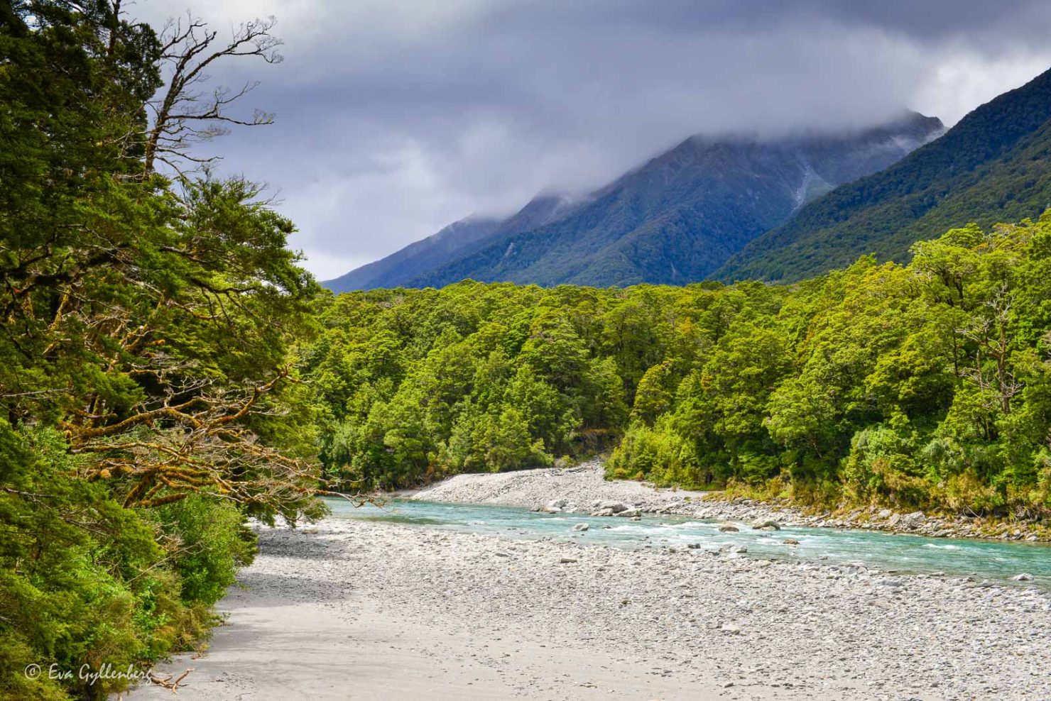 De dimmiga bergen i Mount Aspiring