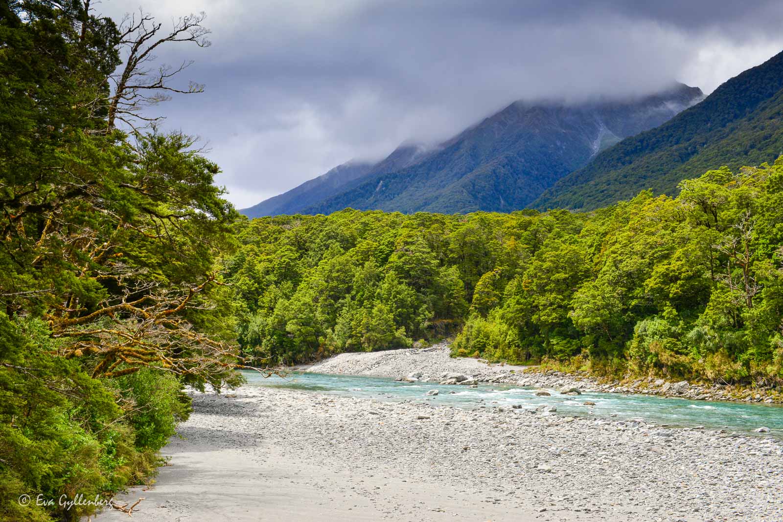 De dimmiga bergen i Mount Aspiring