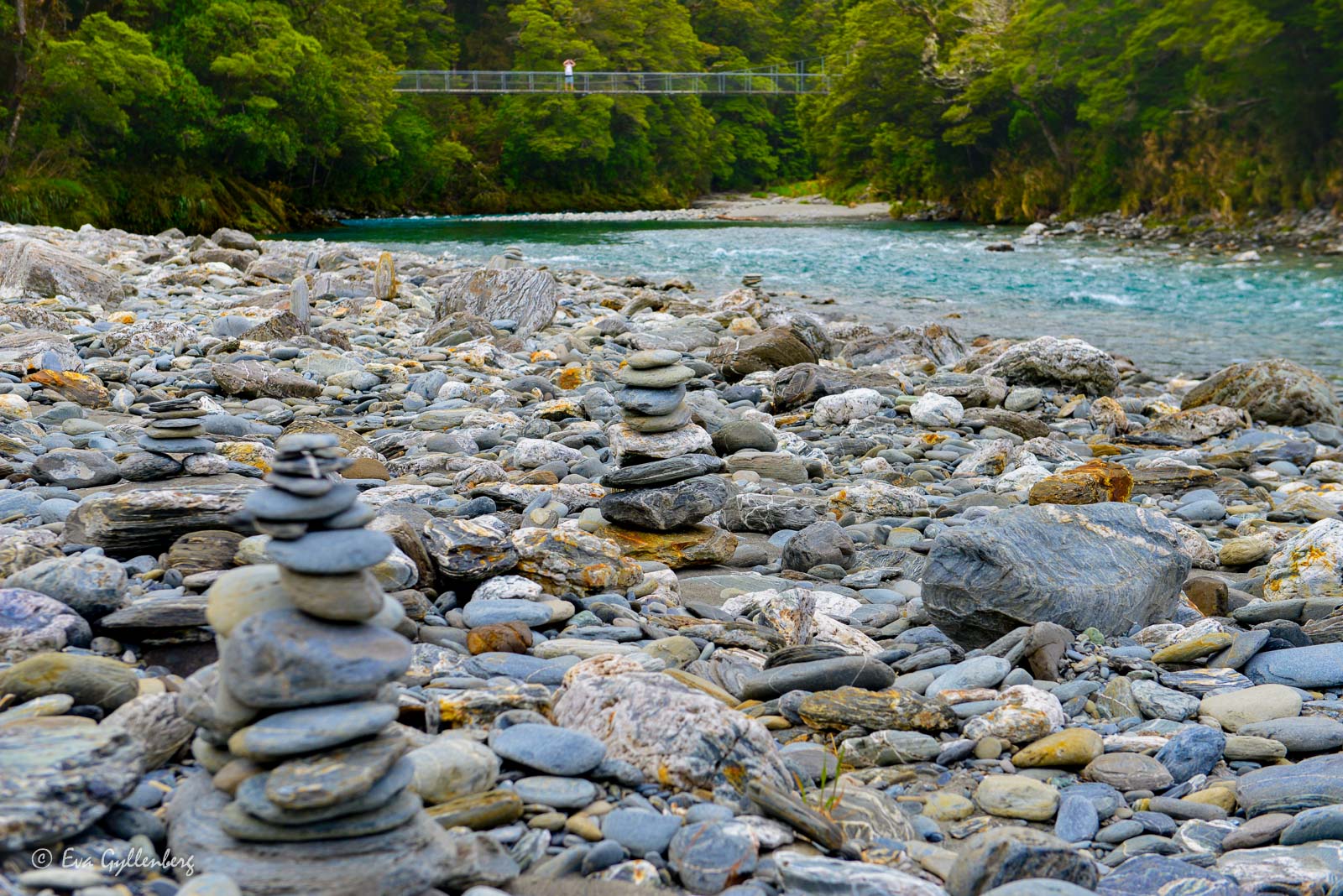 Steniga stränder i Mount Aspiring