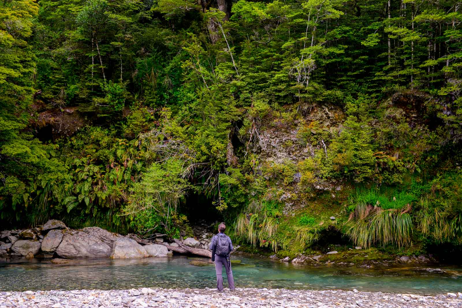 Denna grönska! Mount Aspiring