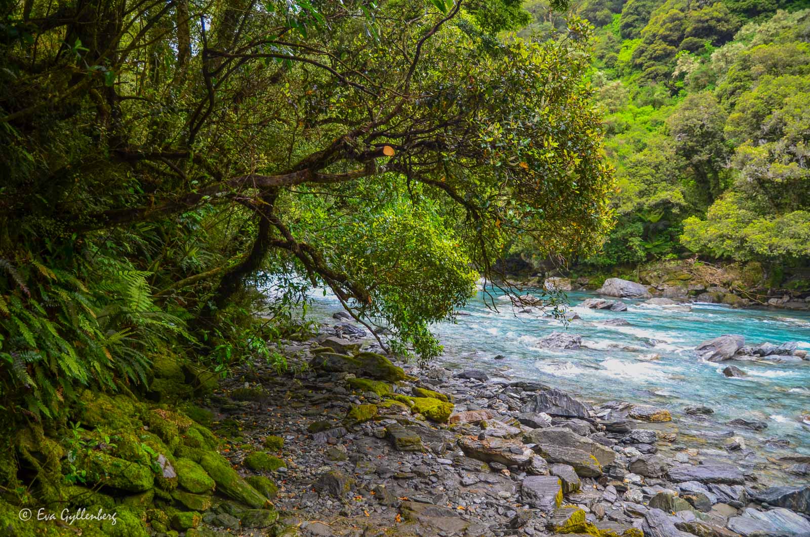 Blått vatten i Mount Aspiring