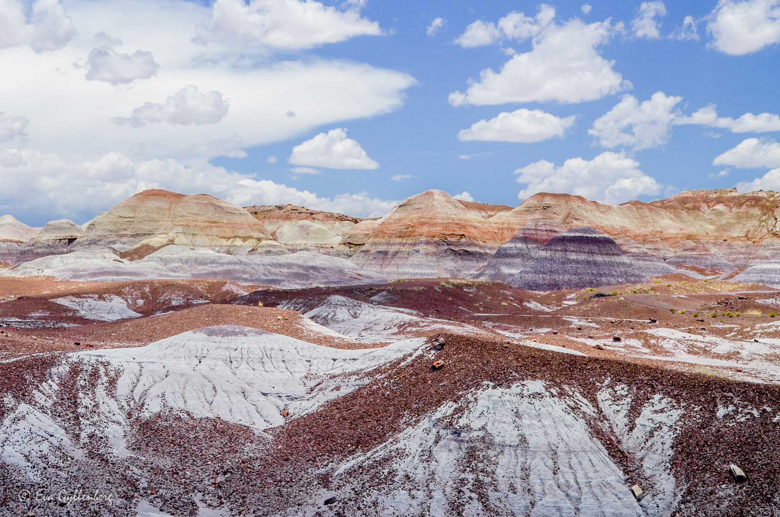 Landskap i Petrified Forest