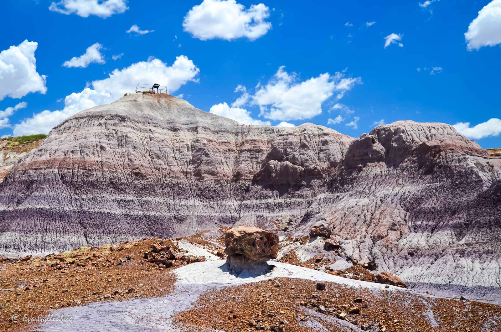 Randiga klippor i Petrified Forest