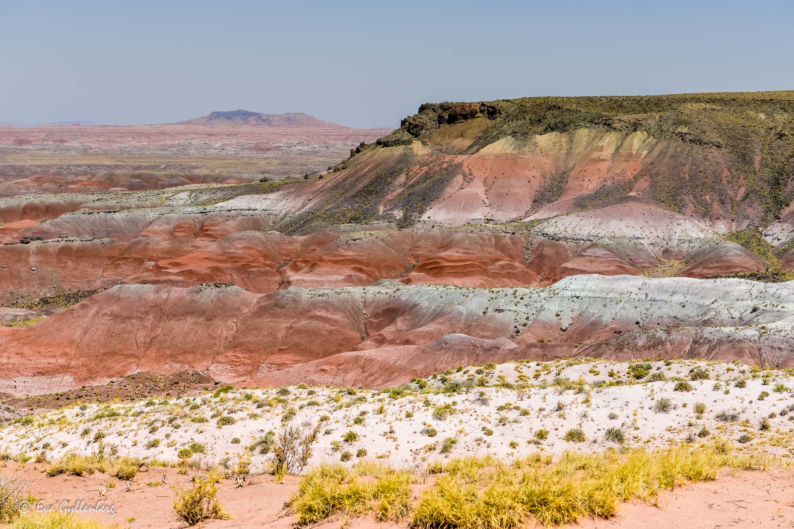 Randigt landskap i Petrified Forest