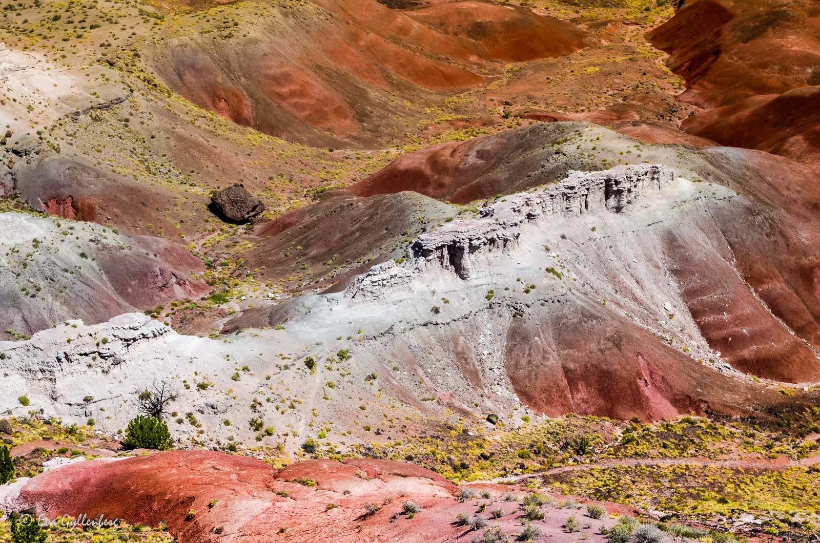 Färgade kullar i Petrified Forest
