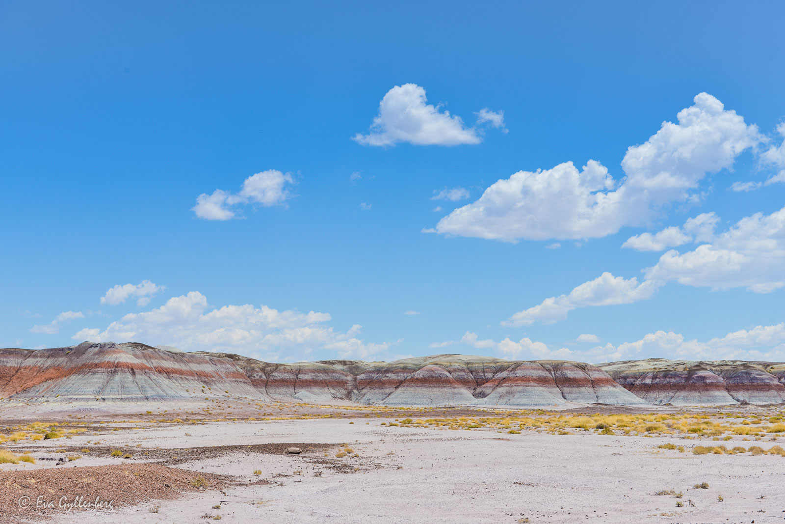 Wide landscape of the Petrified Forest