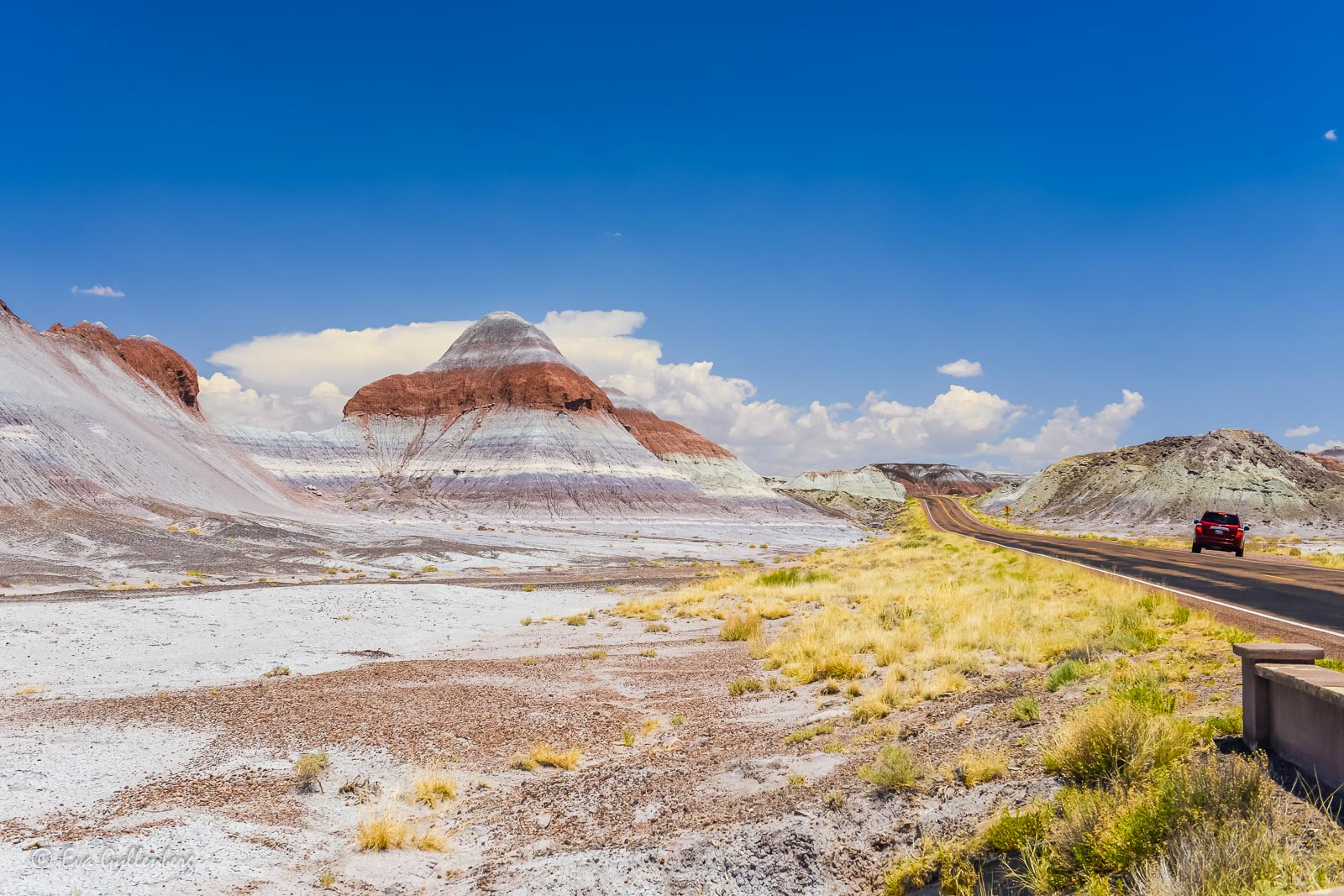 Vägen genom Petrified Forest