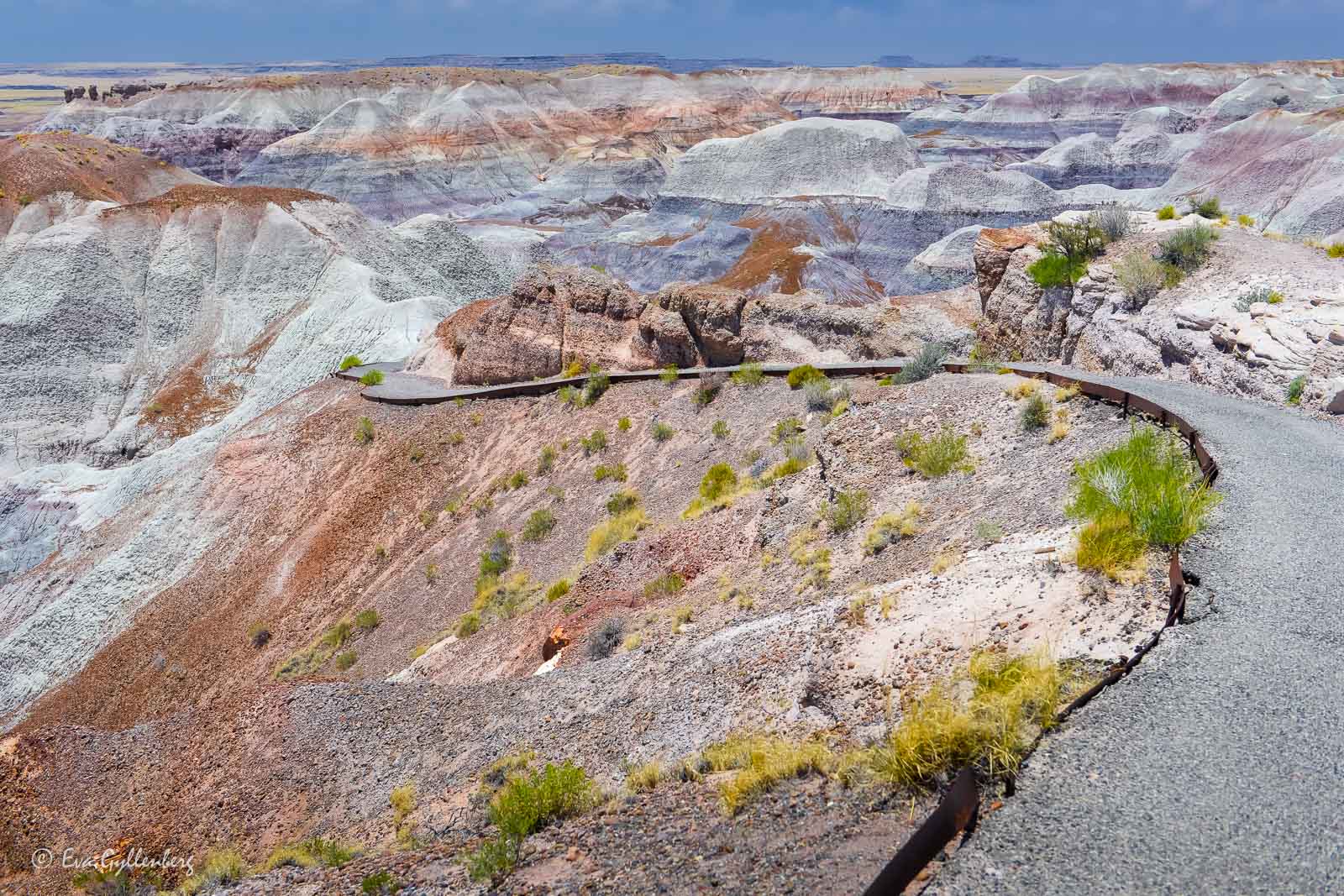 Hiking trail in the Petrified Forest