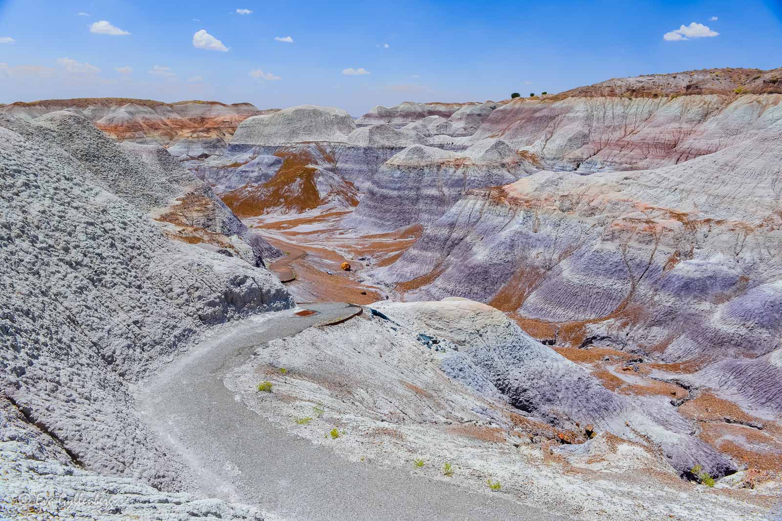 Vandringsled i Petrified Forest