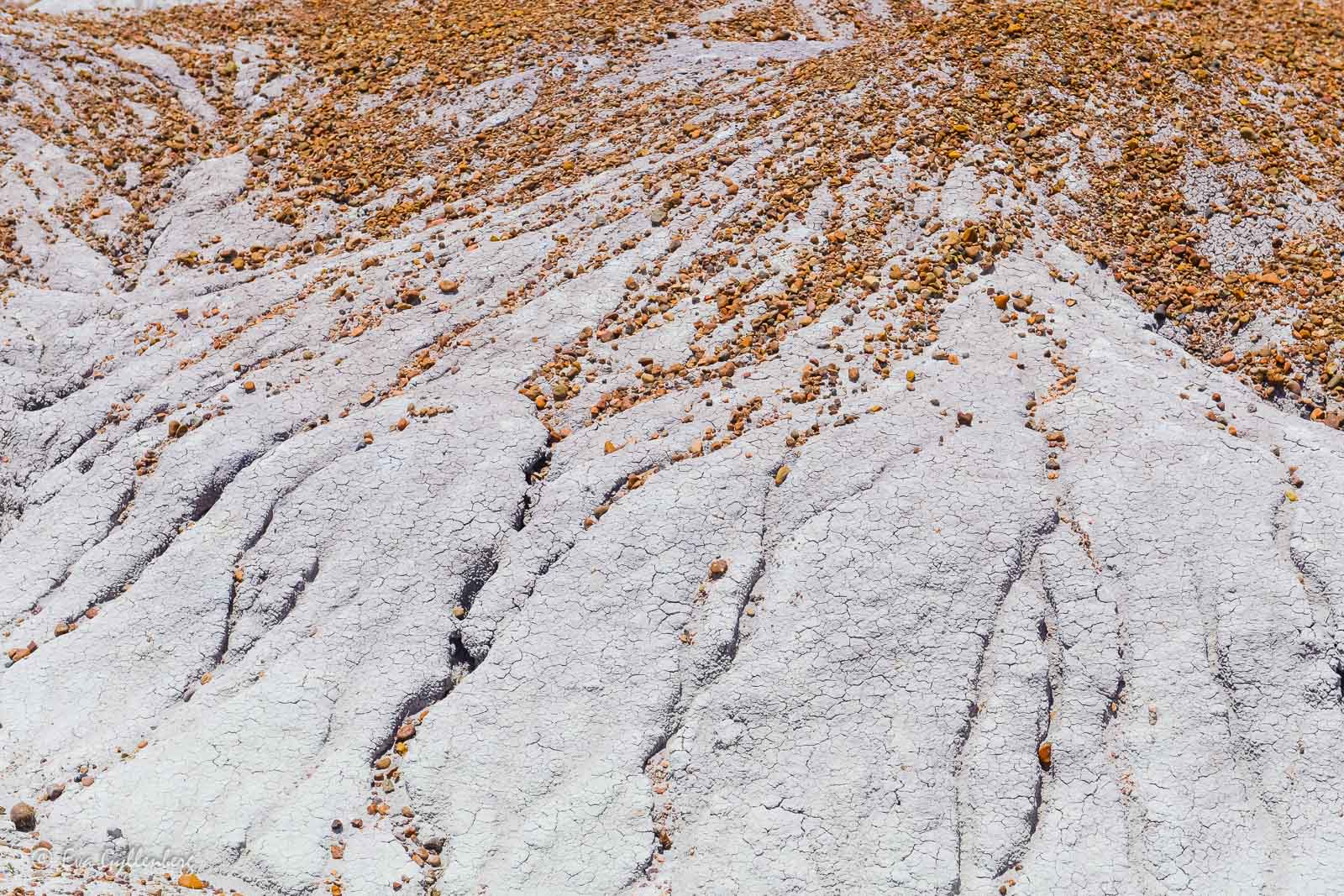 Kruttorrt landskap i Petrified Forest
