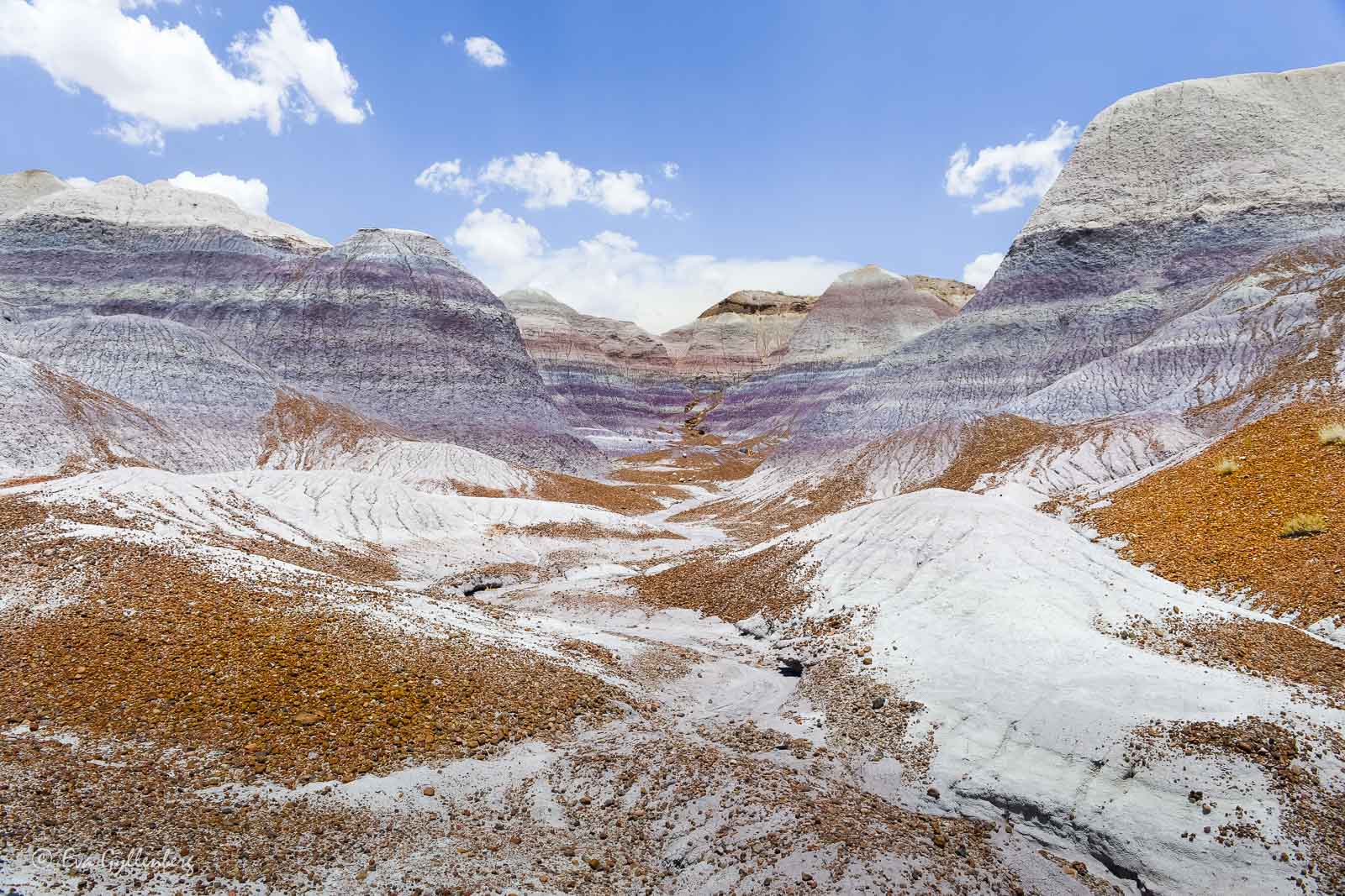 White and striped hills in the Petrified Forest