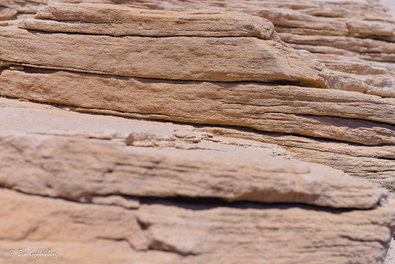 Berggrund i Petrified Forest