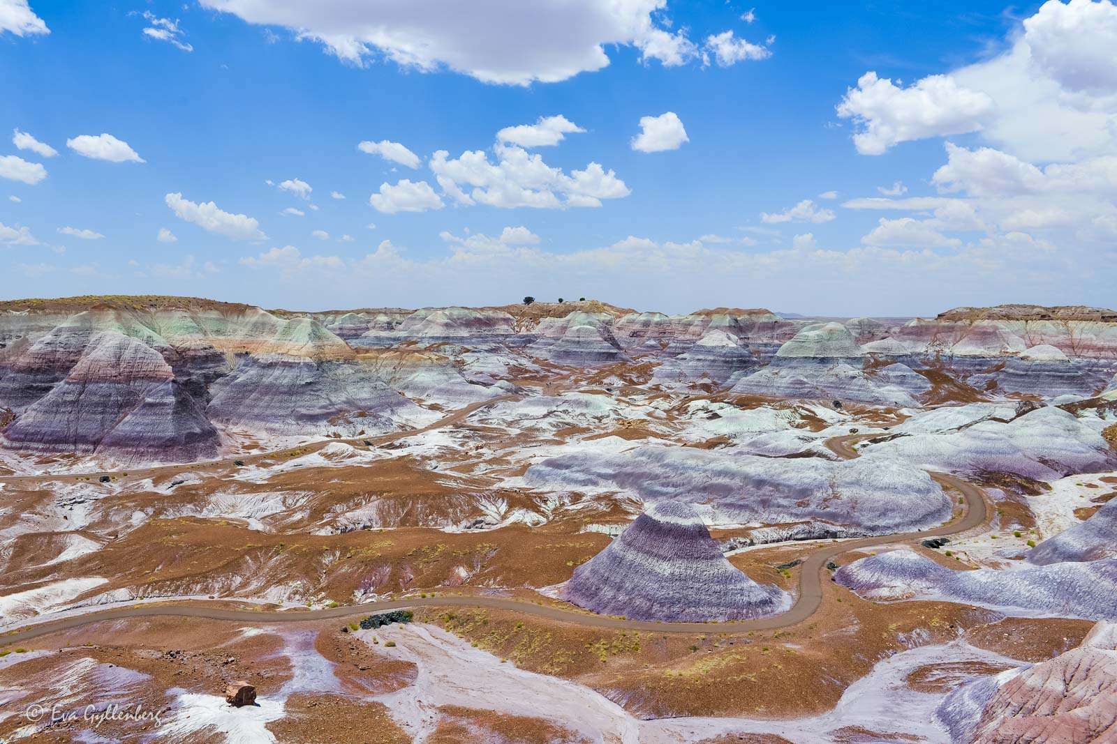 Randiga berg i Petrified Forest