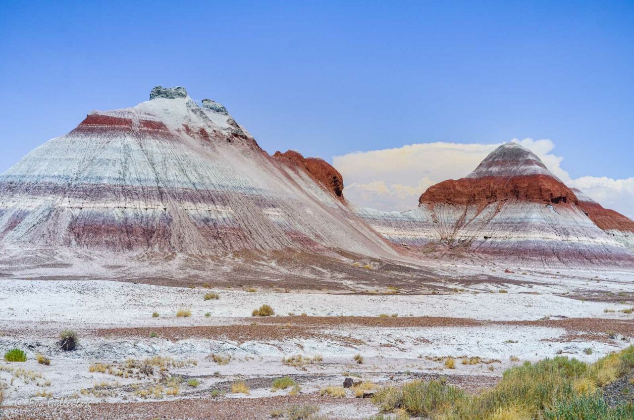 Randiga berg i Petrified Forest