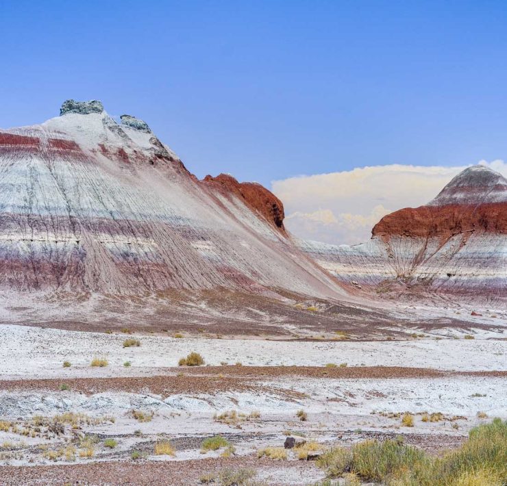 Randiga berg i Petrified Forest