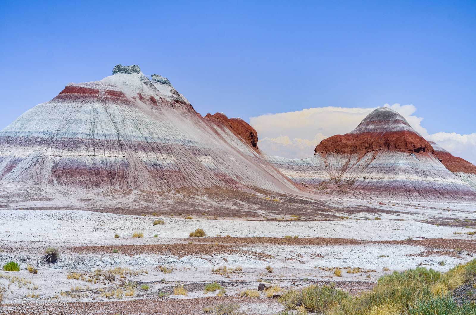 Randiga berg i Petrified Forest