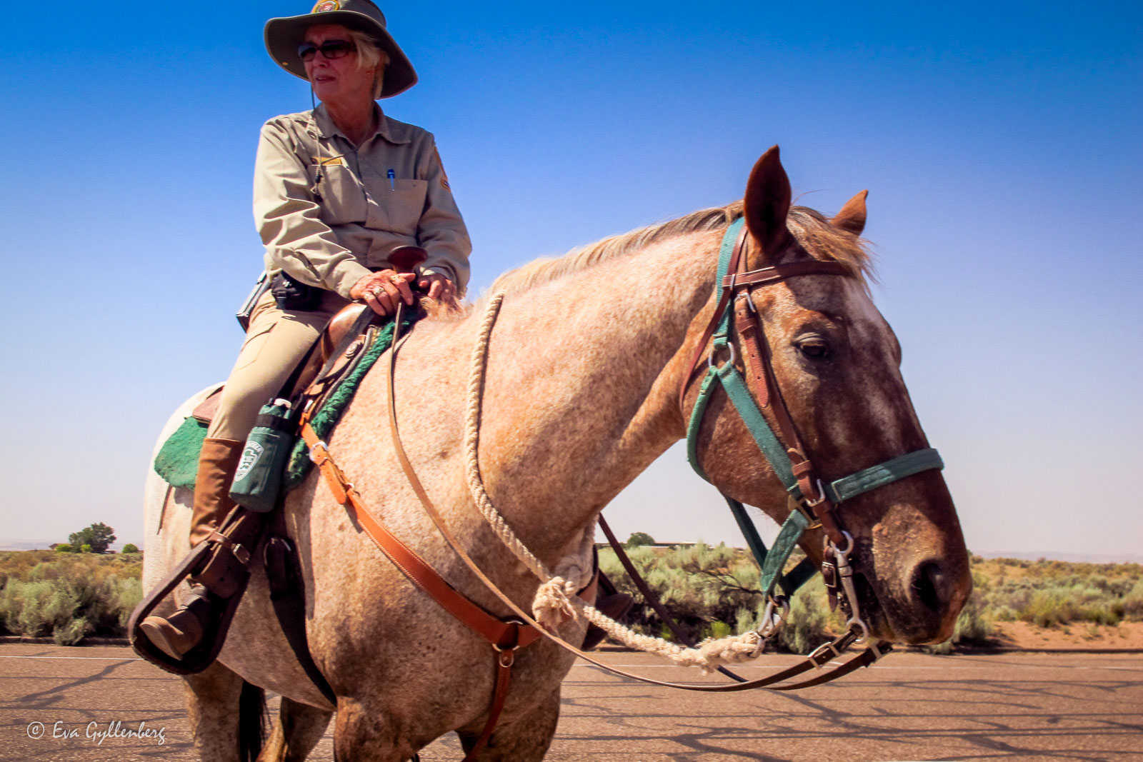 Ranger i Petrified Forest