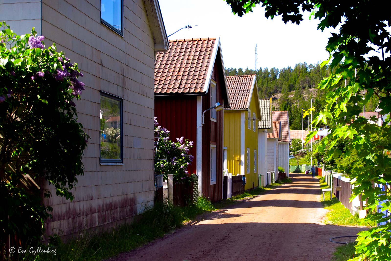 Bilfria gator på Ulvön