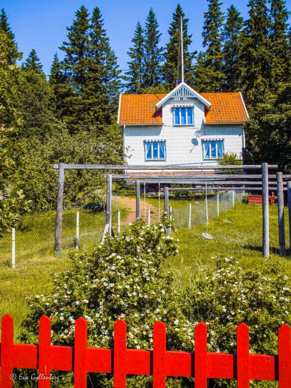 Ulvön - Höga kusten