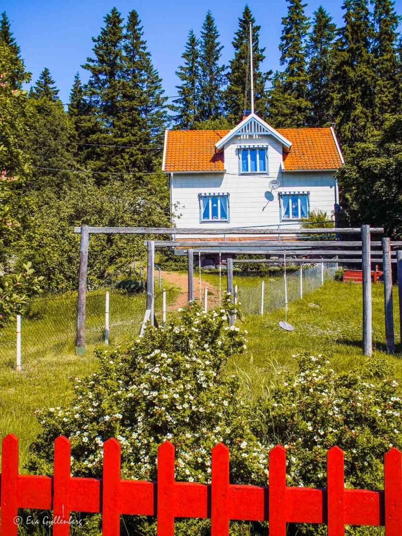 Ulvön - Höga kusten
