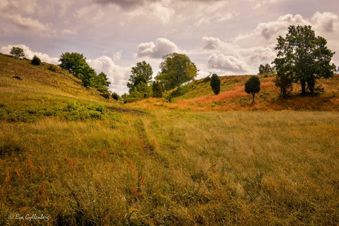 Lite Toscana-känsla i Skåne