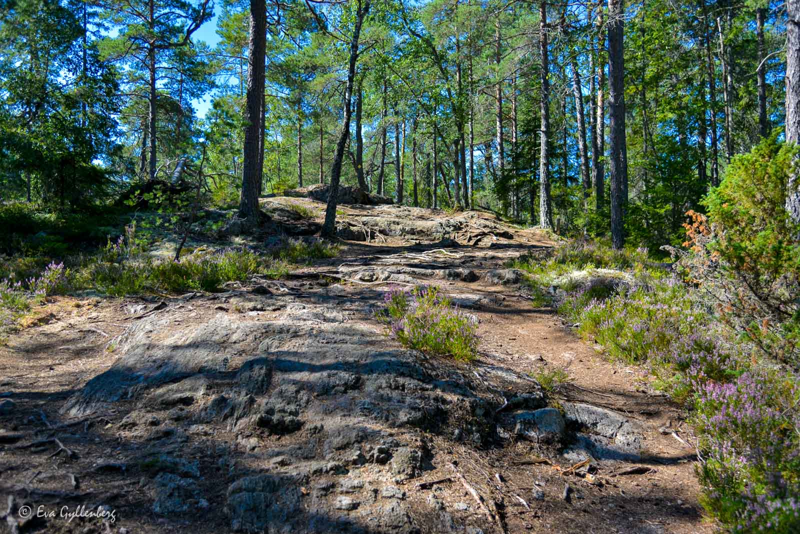 Paradiset naturreservat