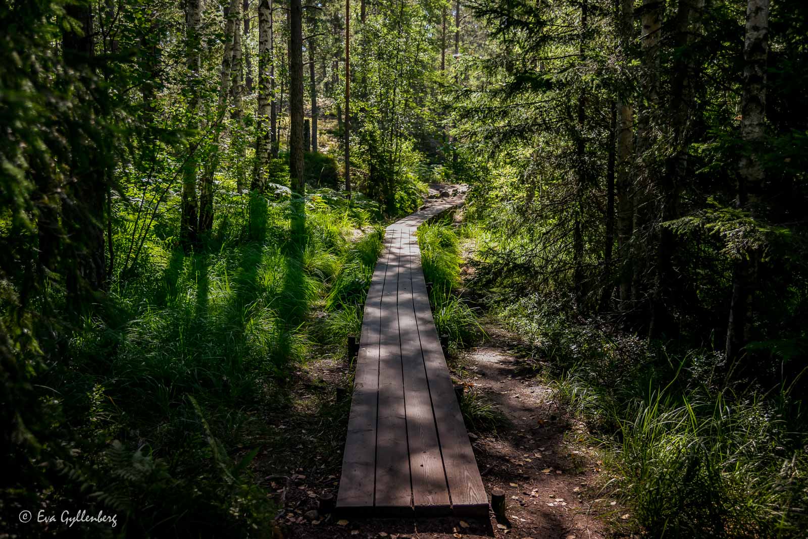 Paradiset naturreservat