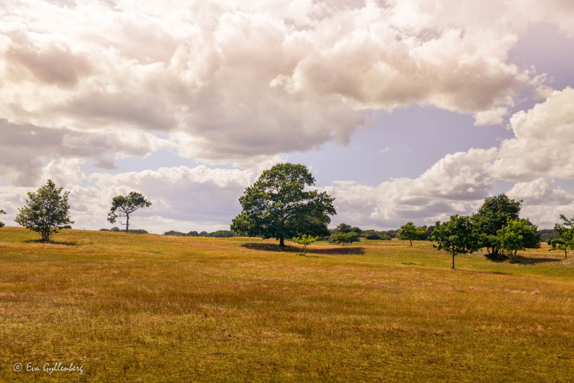 Haväng - Skåne