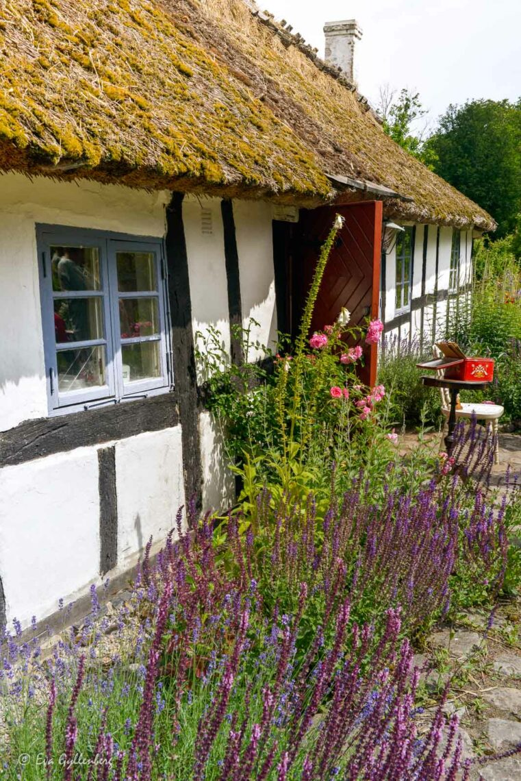korsvirkeshus med blommande perenner